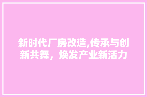 新时代厂房改造,传承与创新共舞，焕发产业新活力