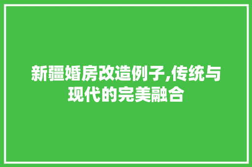 新疆婚房改造例子,传统与现代的完美融合