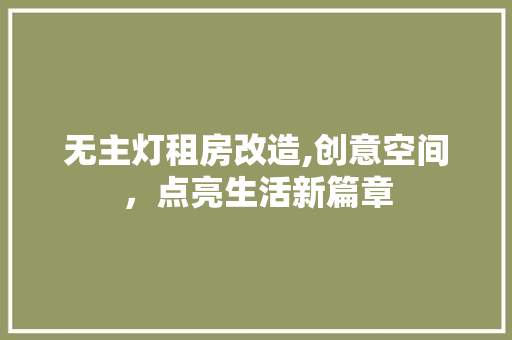 无主灯租房改造,创意空间，点亮生活新篇章