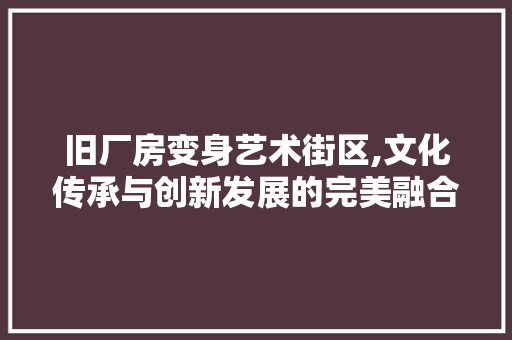 旧厂房变身艺术街区,文化传承与创新发展的完美融合