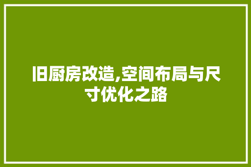 旧厨房改造,空间布局与尺寸优化之路