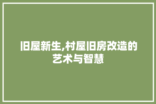 旧屋新生,村屋旧房改造的艺术与智慧