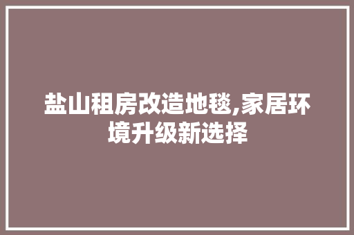 盐山租房改造地毯,家居环境升级新选择 家电维修