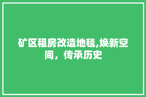 矿区租房改造地毯,焕新空间，传承历史 墙体维修