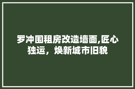 罗冲围租房改造墙面,匠心独运，焕新城市旧貌 家电维修