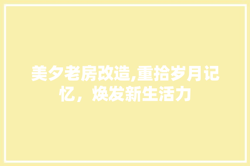 美夕老房改造,重拾岁月记忆，焕发新生活力 厨房维修