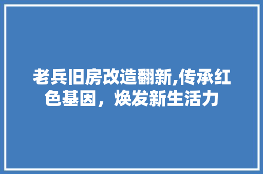 老兵旧房改造翻新,传承红色基因，焕发新生活力 综合便民