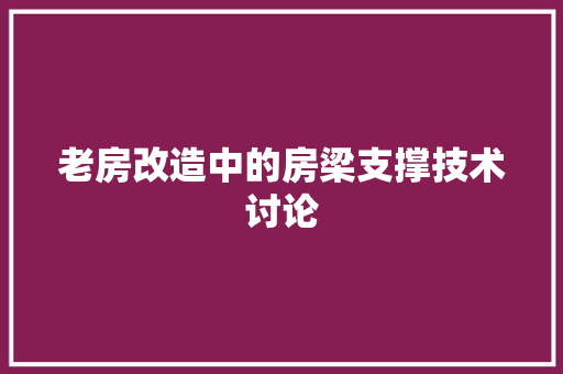 老房改造中的房梁支撑技术讨论