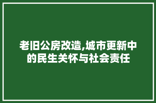 老旧公房改造,城市更新中的民生关怀与社会责任