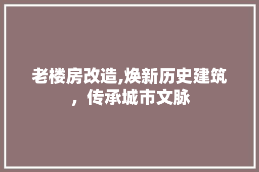 老楼房改造,焕新历史建筑，传承城市文脉