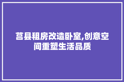 莒县租房改造卧室,创意空间重塑生活品质