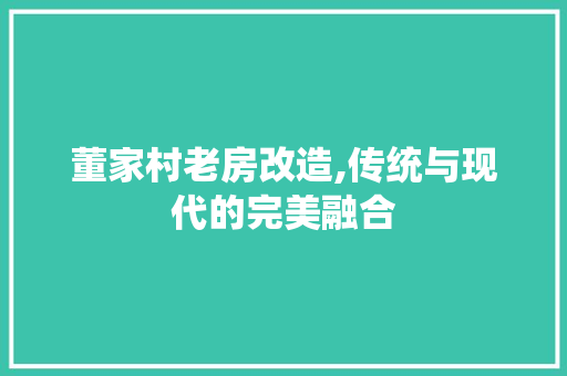 董家村老房改造,传统与现代的完美融合
