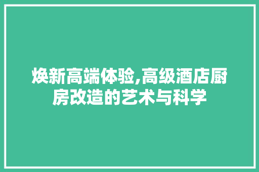 焕新高端体验,高级酒店厨房改造的艺术与科学 综合便民
