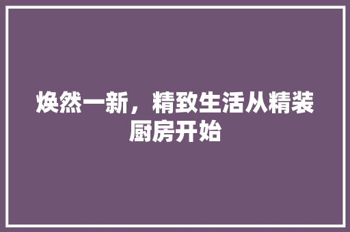 焕然一新，精致生活从精装厨房开始 综合便民