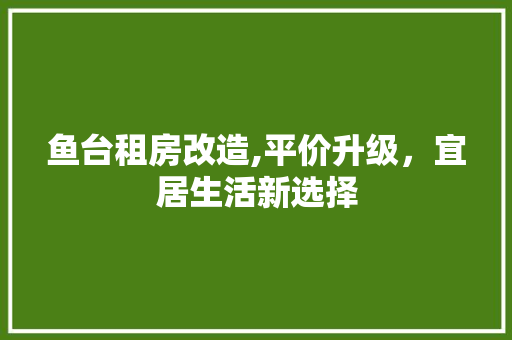 鱼台租房改造,平价升级，宜居生活新选择