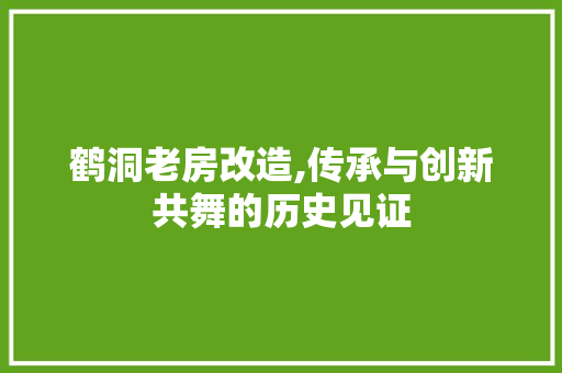 鹤洞老房改造,传承与创新共舞的历史见证