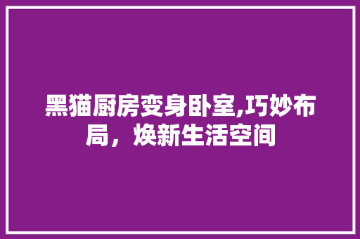 黑猫厨房变身卧室,巧妙布局，焕新生活空间