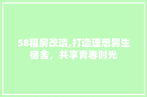 58租房改造,打造理想男生宿舍，共享青春时光