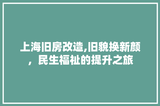 上海旧房改造,旧貌换新颜，民生福祉的提升之旅 墙体维修