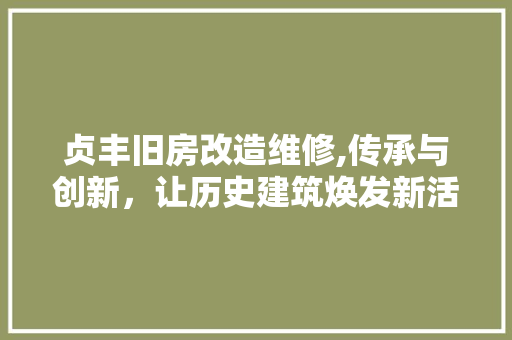 贞丰旧房改造维修,传承与创新，让历史建筑焕发新活力 厨房维修
