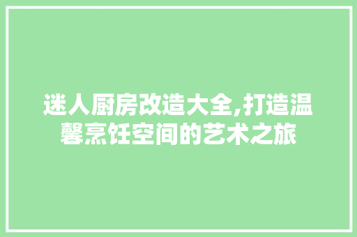 迷人厨房改造大全,打造温馨烹饪空间的艺术之旅 厨房维修
