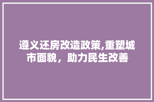 遵义还房改造政策,重塑城市面貌，助力民生改善 墙体维修