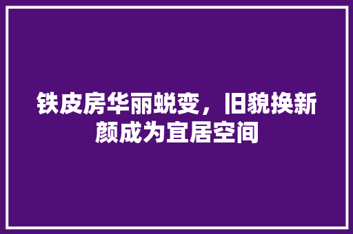 铁皮房华丽蜕变，旧貌换新颜成为宜居空间 厨房维修