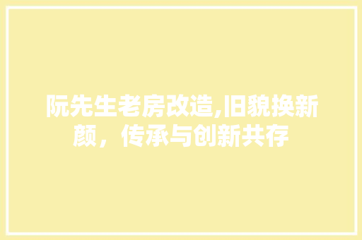 阮先生老房改造,旧貌换新颜，传承与创新共存 家电维修