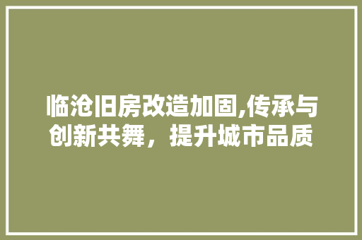 临沧旧房改造加固,传承与创新共舞，提升城市品质 综合便民