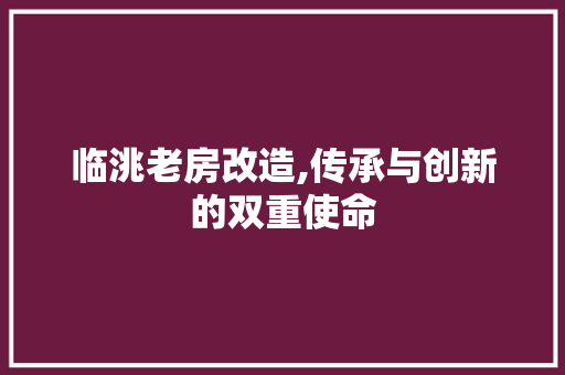 临洮老房改造,传承与创新的双重使命 汽车维修