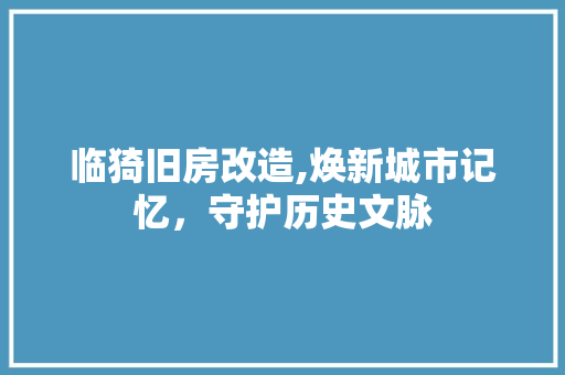 临猗旧房改造,焕新城市记忆，守护历史文脉 汽车维修