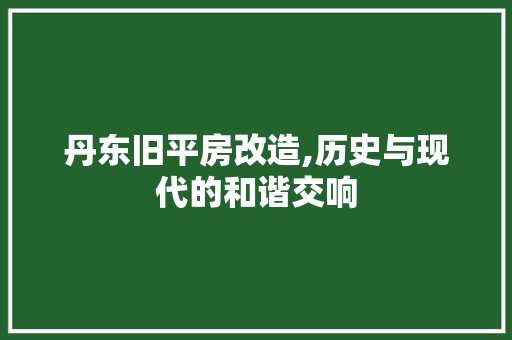 丹东旧平房改造,历史与现代的和谐交响 综合便民