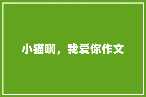 为民路旧房改造,传承与创新并重，焕发城市新活力 汽车维修