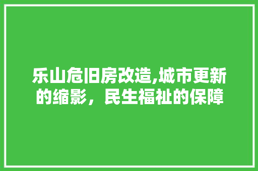 乐山危旧房改造,城市更新的缩影，民生福祉的保障 综合便民