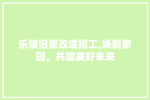 乐陵旧房改造招工,焕新家园，共建美好未来 厨房维修