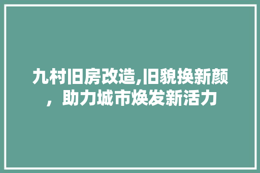 九村旧房改造,旧貌换新颜，助力城市焕发新活力 墙体维修