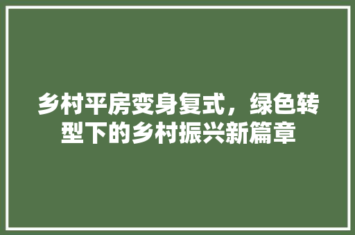 乡村平房变身复式，绿色转型下的乡村振兴新篇章 汽车维修