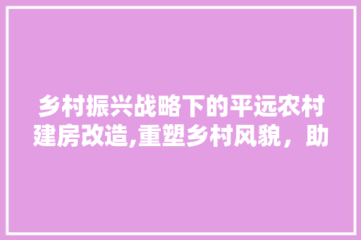 乡村振兴战略下的平远农村建房改造,重塑乡村风貌，助力美好生活 墙体维修