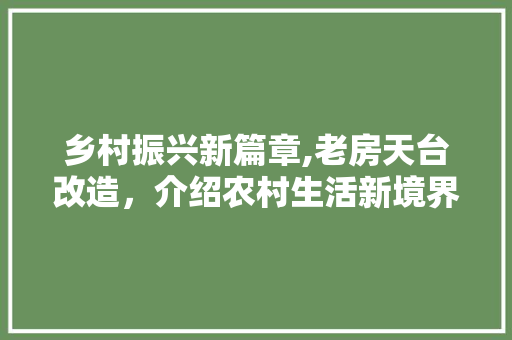 乡村振兴新篇章,老房天台改造，介绍农村生活新境界 汽车维修