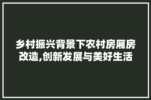 乡村振兴背景下农村房厢房改造,创新发展与美好生活交融之路 汽车维修