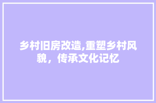 乡村旧房改造,重塑乡村风貌，传承文化记忆