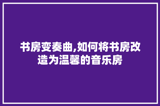 书房变奏曲,如何将书房改造为温馨的音乐房