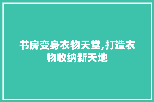 书房变身衣物天堂,打造衣物收纳新天地