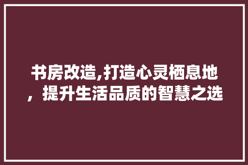 书房改造,打造心灵栖息地，提升生活品质的智慧之选