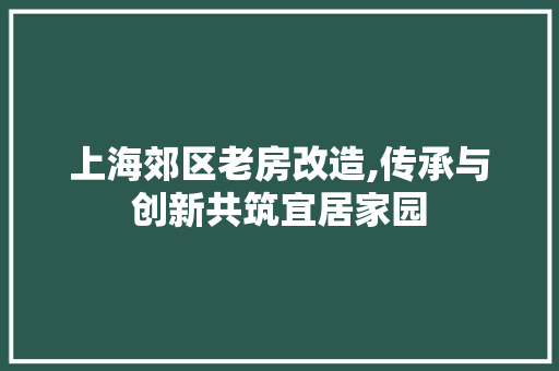 上海郊区老房改造,传承与创新共筑宜居家园