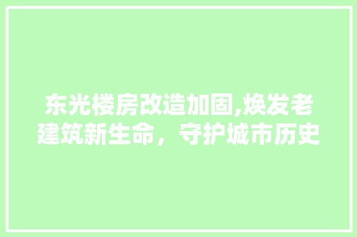东光楼房改造加固,焕发老建筑新生命，守护城市历史记忆 家电维修