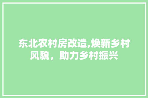 东北农村房改造,焕新乡村风貌，助力乡村振兴 汽车维修