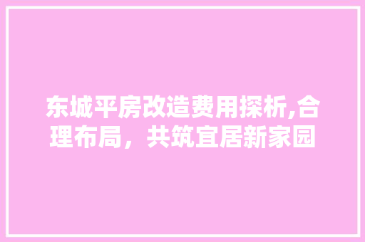 东城平房改造费用探析,合理布局，共筑宜居新家园 家电维修
