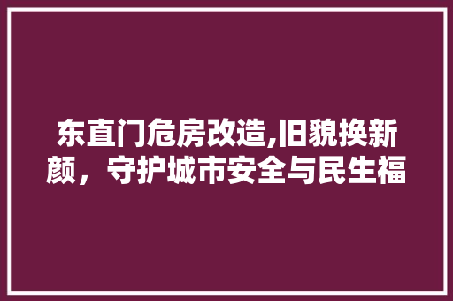 东直门危房改造,旧貌换新颜，守护城市安全与民生福祉 墙体维修