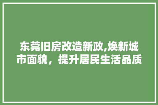 东莞旧房改造新政,焕新城市面貌，提升居民生活品质 家电维修